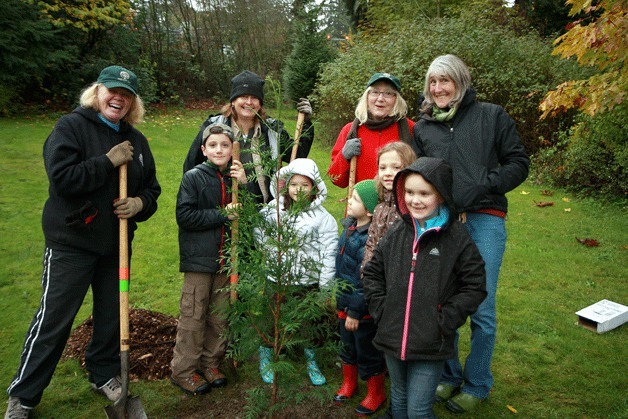 Several volunteers planted trees and other various plants at Juanita Bay Park on Nov. 12. From left to right: Deputy Mayor Penny Sweet