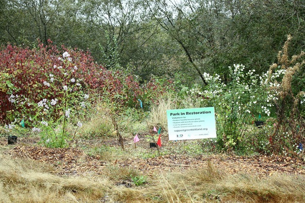 More than 60 volunteers mulched