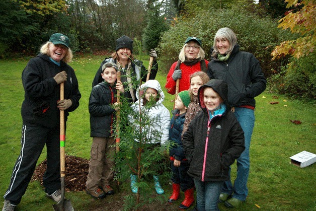 Several volunteers planted trees and other various plants at Juanita Bay Park on Arbor Day in 2011. This year