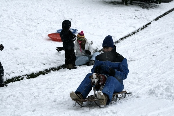 Kirkland resident Sofia Kantola received the birthday surprise of snow atop Finn Hill. Kantola and her family