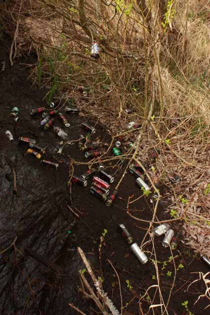 Kirkland resident Daniel Schitkovitz noticed these cans and other trash during a recent stroll through the neighborhood.