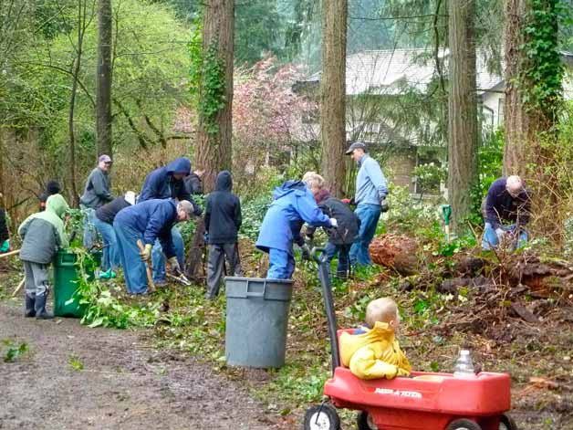 Join other volunteers removing invasive ivy and blackberry