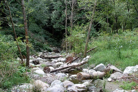 0.0. Denny Park is made up of 46 acres of lakeshore