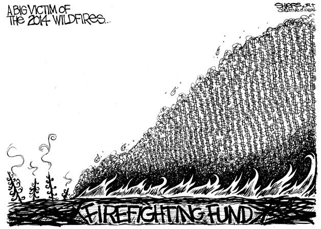 A big victim of the 2014 wildfires | Cartoon for Aug. 11