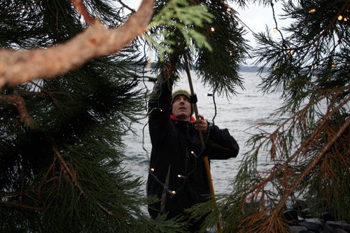 A city worker helps to put lights on a tree in Kirkland's Marina Park during 2010.