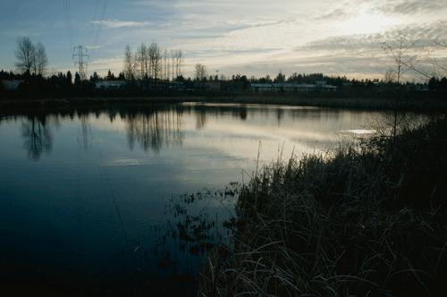 Totem Lake has a lot of potential as a recreational destination but the build up of silt over time has led the lake to over stretch its original boundaries.