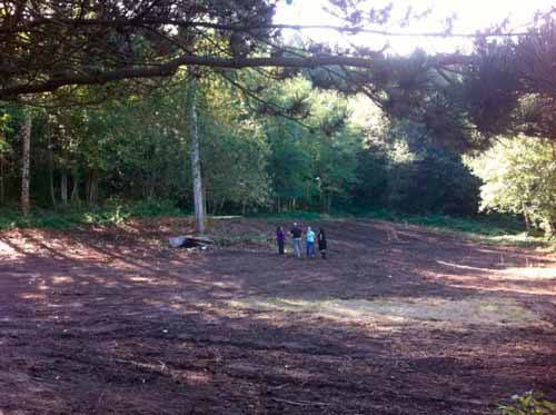 Volunteers work to clear the property for Kirkland's new dog park.