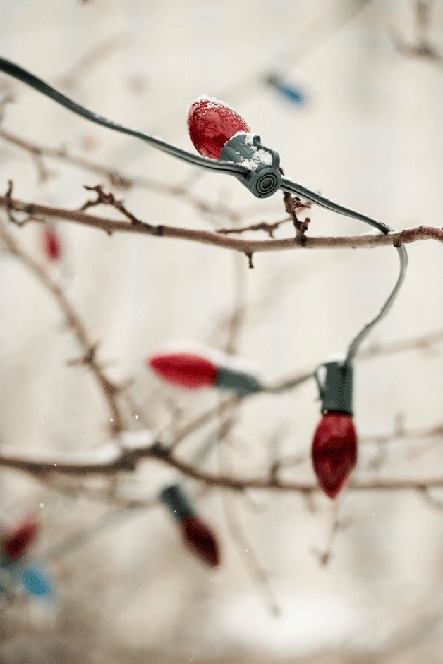 Make history as the Juanita neighborhood decorates part of downtown Juanita with holiday lights for the first time.