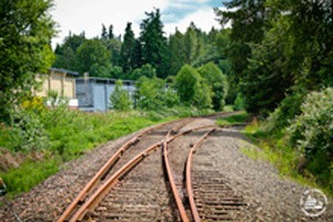 The Cross Kirkland Corridor traverses Kirkland