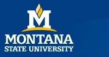 Montana State University