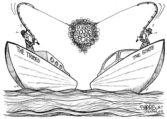 Washington State and state tribes are in a tangle over the Puget Sound Salmon Plan. - Cartoon by Frank Shiers