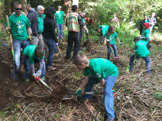 Volunteers help to clean up Kirkland Watershed Park as part of Comcast Cares Day on Saturday