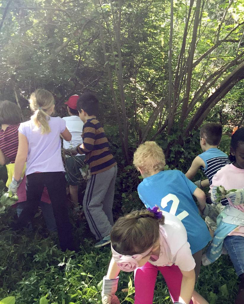 Nature Vision leads community stewardship with Kirkland students at ...