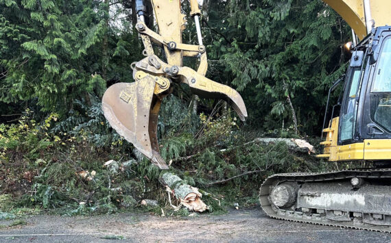 Crews clear trees from State Route 18, which the Washington State Patrol closed in both directions Wednesday, Nov. 20, from Issaquah Hobart to I-90 over Tiger Mountain because of fallen trees during a windstorm. COURTESY PHOTO, Washington State Patrol